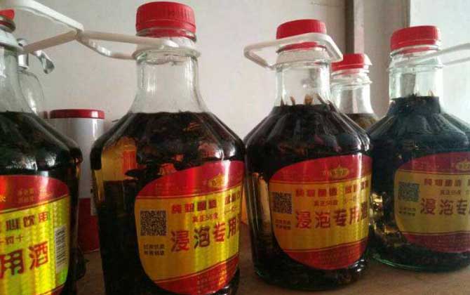 虎頭蜂酒