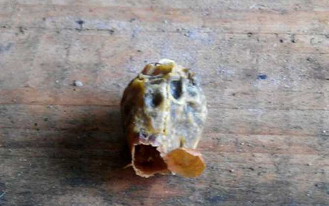 急造王臺(tái)
