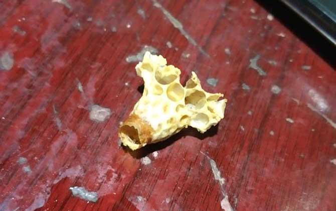 急造王臺(tái)