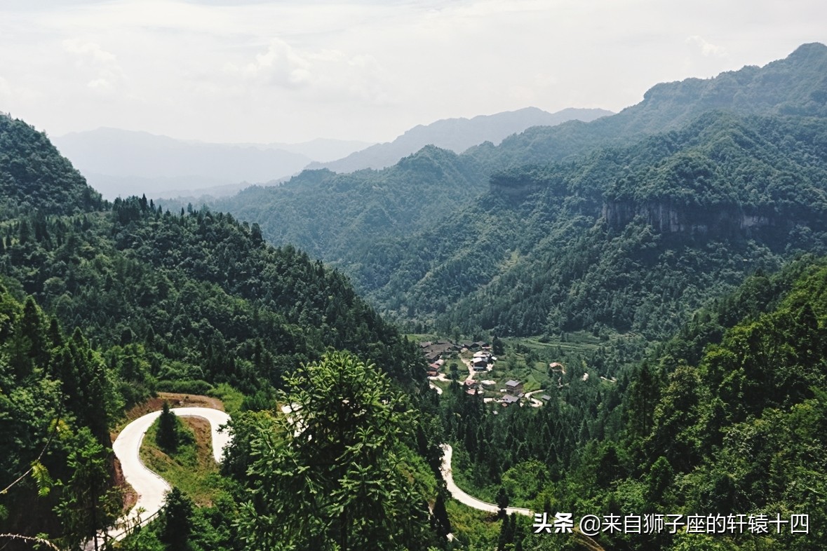 探尋養蜂人，取蜂蜜要用煙熏