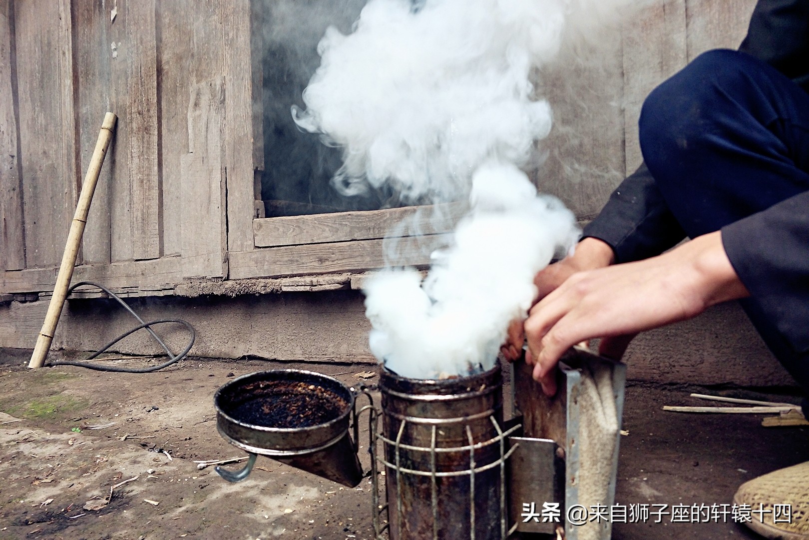 探尋養蜂人，取蜂蜜要用煙熏