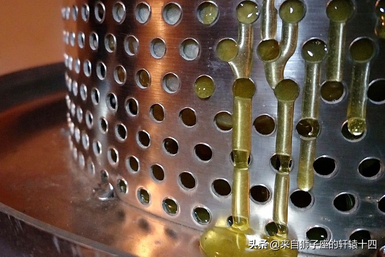 探尋養蜂人，取蜂蜜要用煙熏