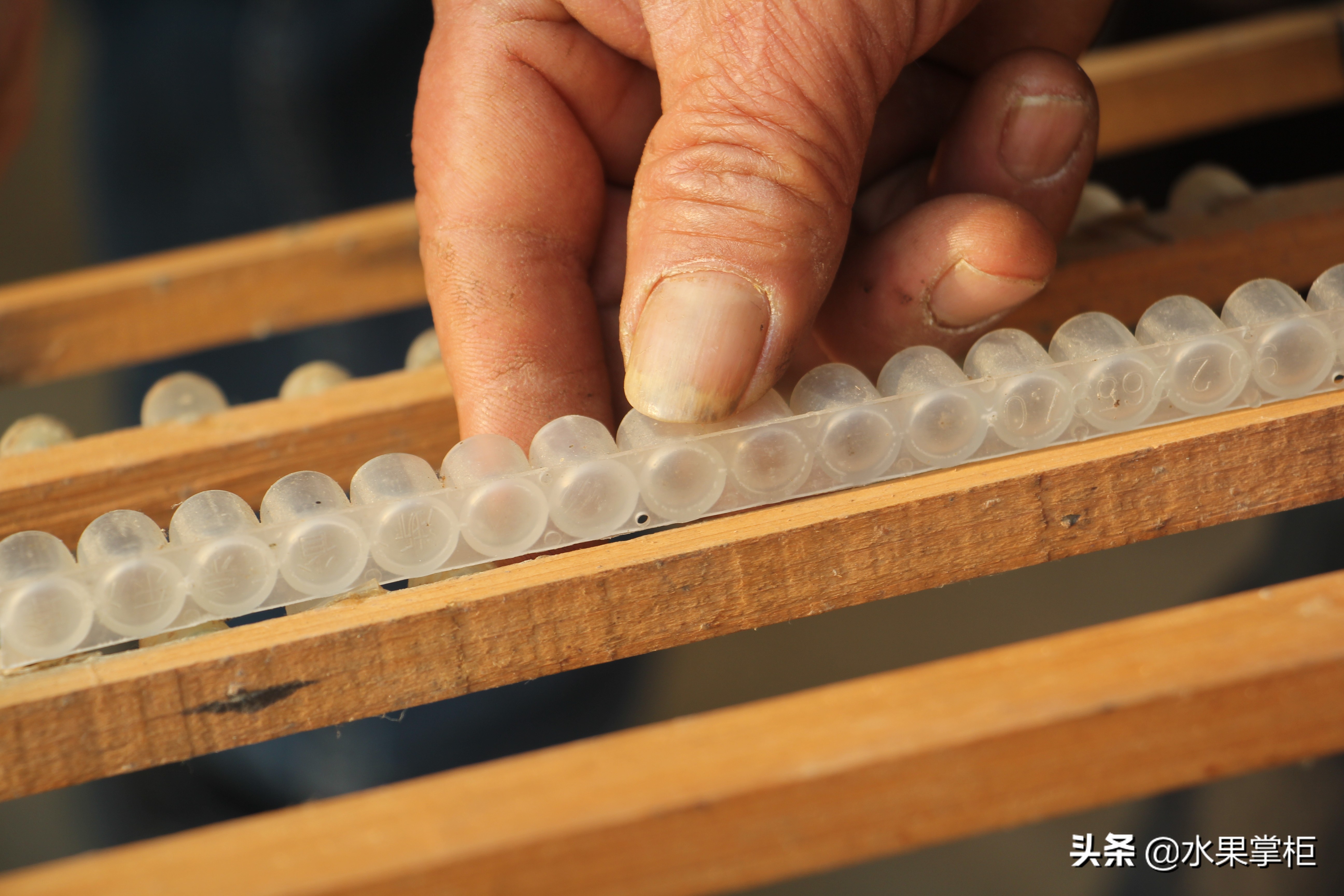 漲知識：農(nóng)家養(yǎng)土蜂蜜的工具，你認(rèn)識幾個？留言回復(fù)，連載哦