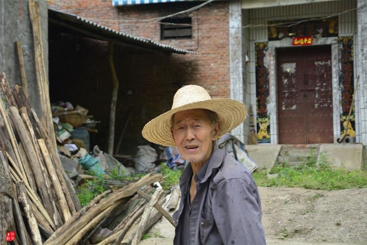81歲老人養蜂半世紀，自創多種養蜂工具，怕蜜蜂丟失樹下睡3個月