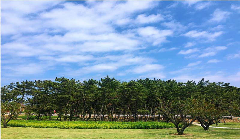 有篝火、有星空！山東私藏的這些自駕露營地景美人少，現(xiàn)在就出發(fā)！