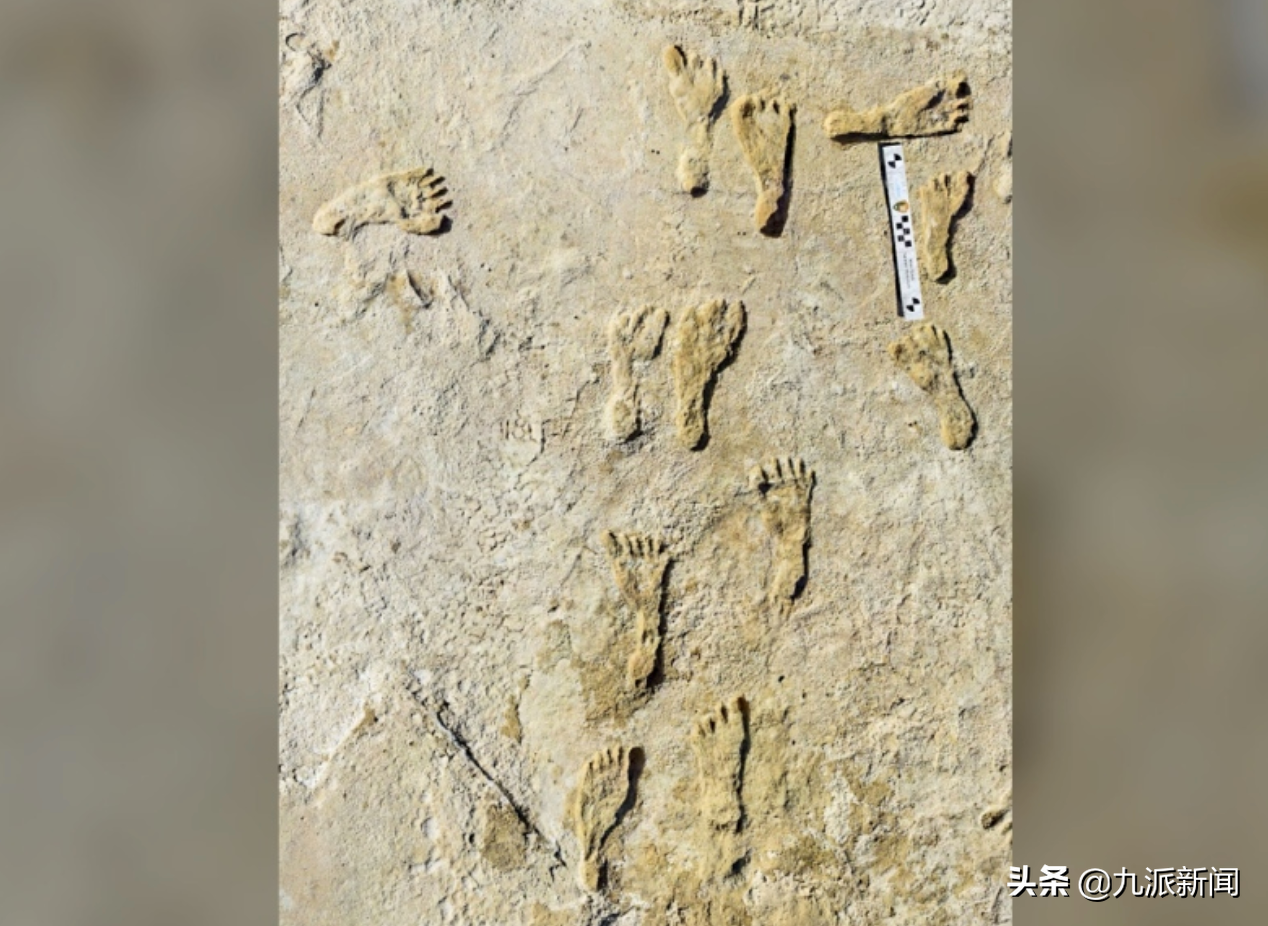 北美發(fā)現(xiàn)最古老人類腳印 距今約23000年 或來自最后一個冰河時代