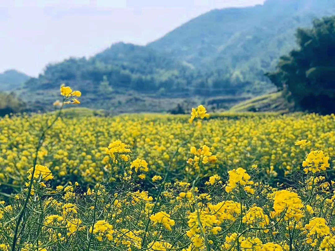 中秋出行！新晉黑馬目的地TOP10，小眾海島、賞秋秘境、文化慢城