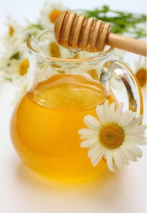 枇杷蜜和桂圓蜜哪個(gè)好（枇杷蜜和桂圓蜜的對比）