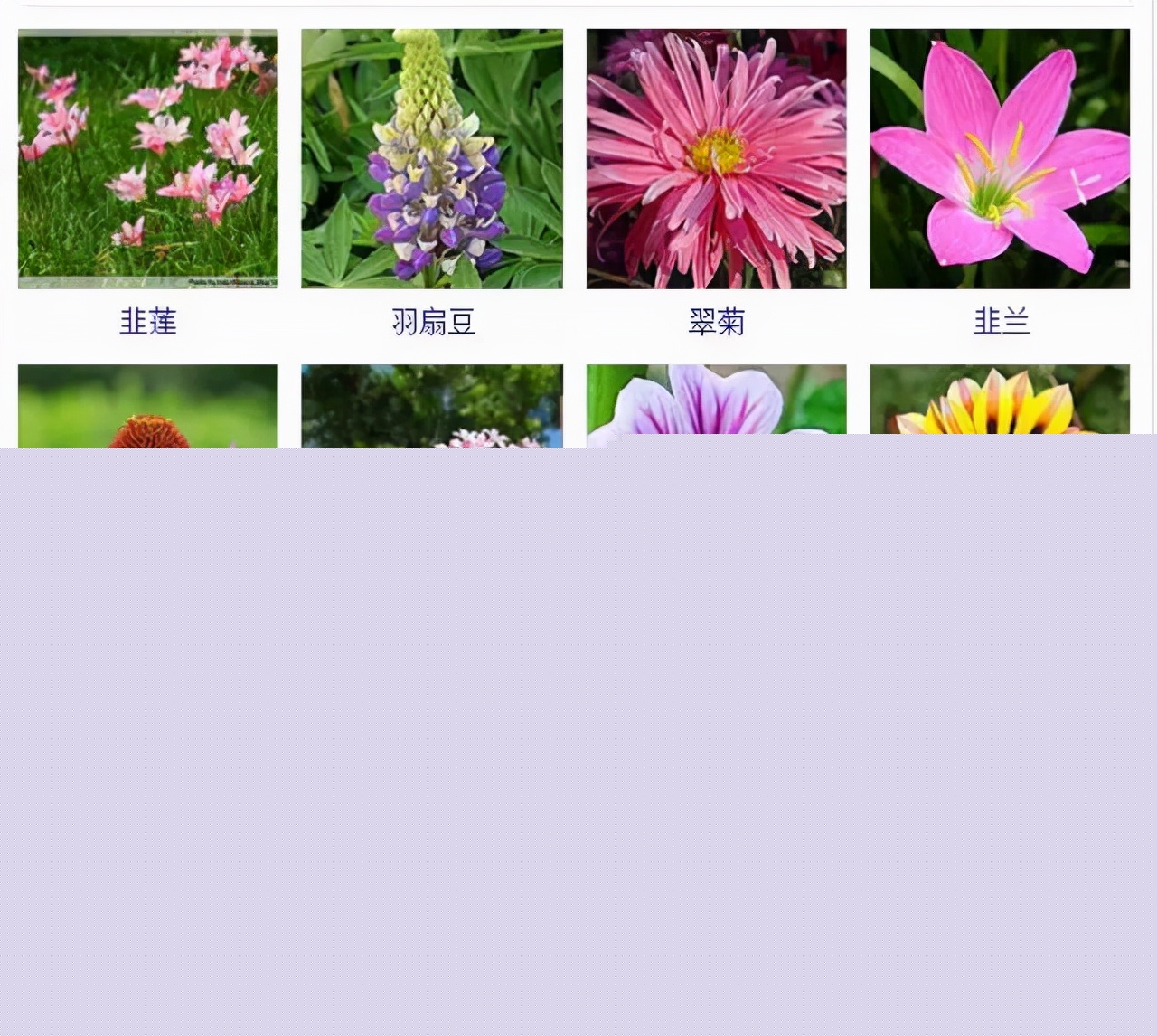 植物品種名稱大全（最常見的800種景觀觀花植物，附植物習(xí)性種植）