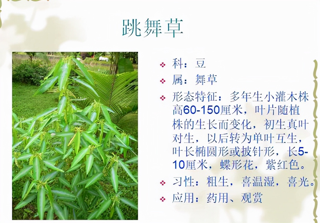 植物品種名稱大全（最常見的800種景觀觀花植物，附植物習(xí)性種植）