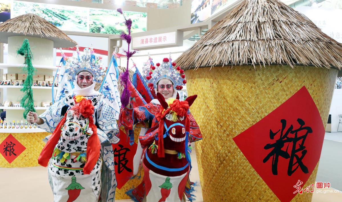 第三屆大運河文化旅游博覽會在蘇州開幕