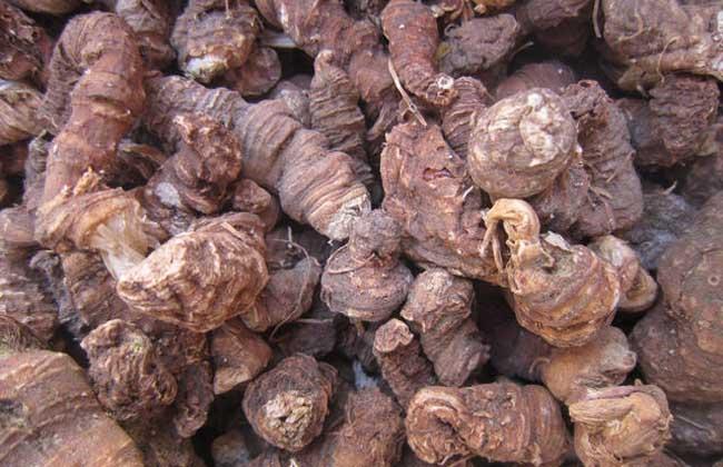 七葉一枝花市場(chǎng)價(jià)格多少錢(qián)一斤（七葉一枝花2023年最新價(jià)格）
