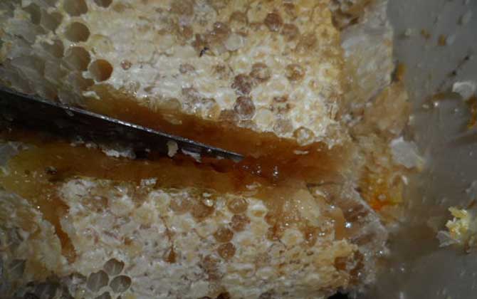 吃土蜂蜜的禁忌有哪些？除了不能過(guò)量食用，還不能長(zhǎng)期空腹食用！