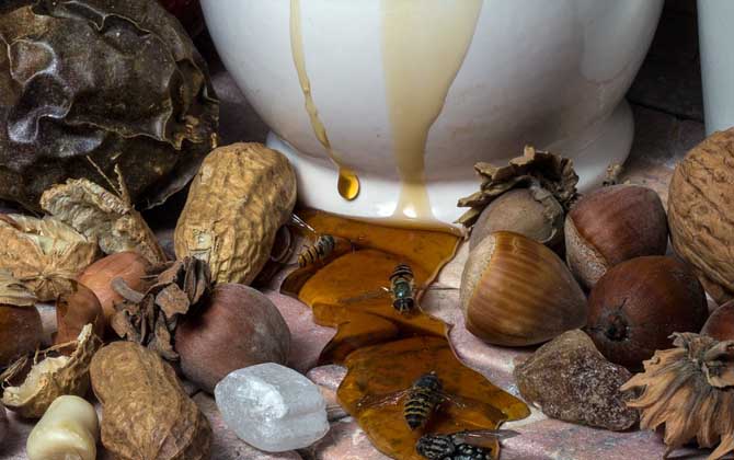 蜂蜜變黑了還能吃嗎？關鍵看變黑的原因，若是變質了則不能再吃！