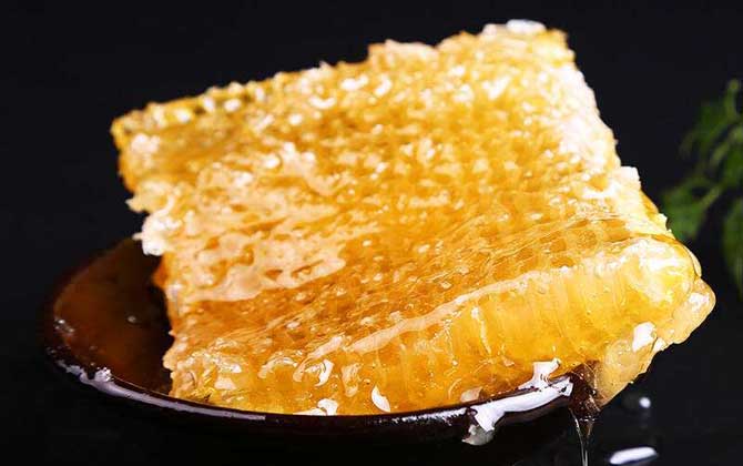 蜂巢蜜和土蜂蜜哪個好？并沒有定論，實際上土蜂也能釀制蜂巢蜜！