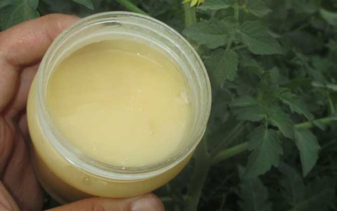 用蜂蜜怎樣去眼部皺紋？