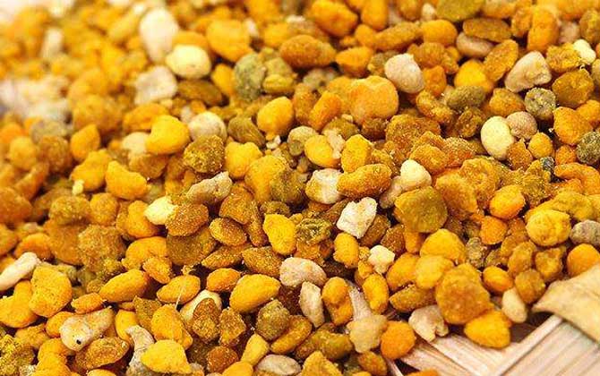 最新蜂花粉價(jià)格多少錢(qián)一斤？