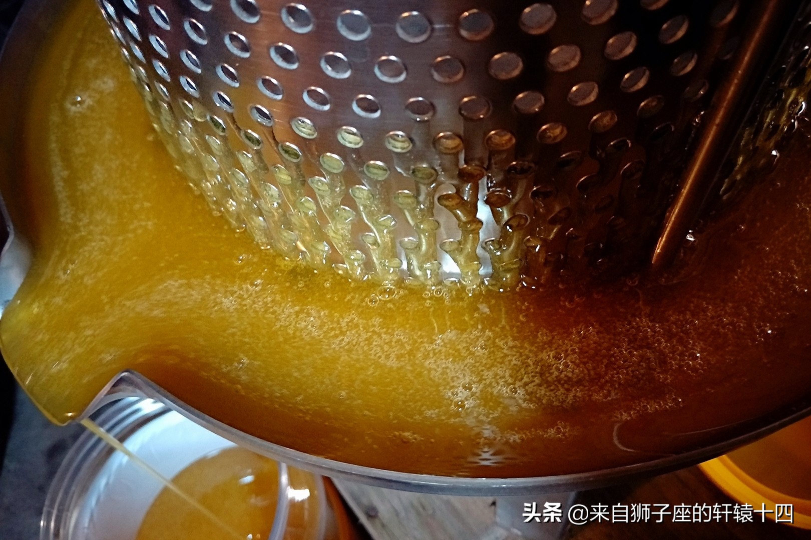 探尋養(yǎng)蜂人，取蜂蜜要用煙熏