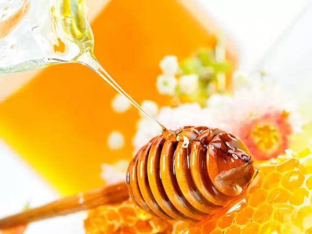 荊條開花為何不流蜜（荊條花在什么樣的條件下適宜流蜜）